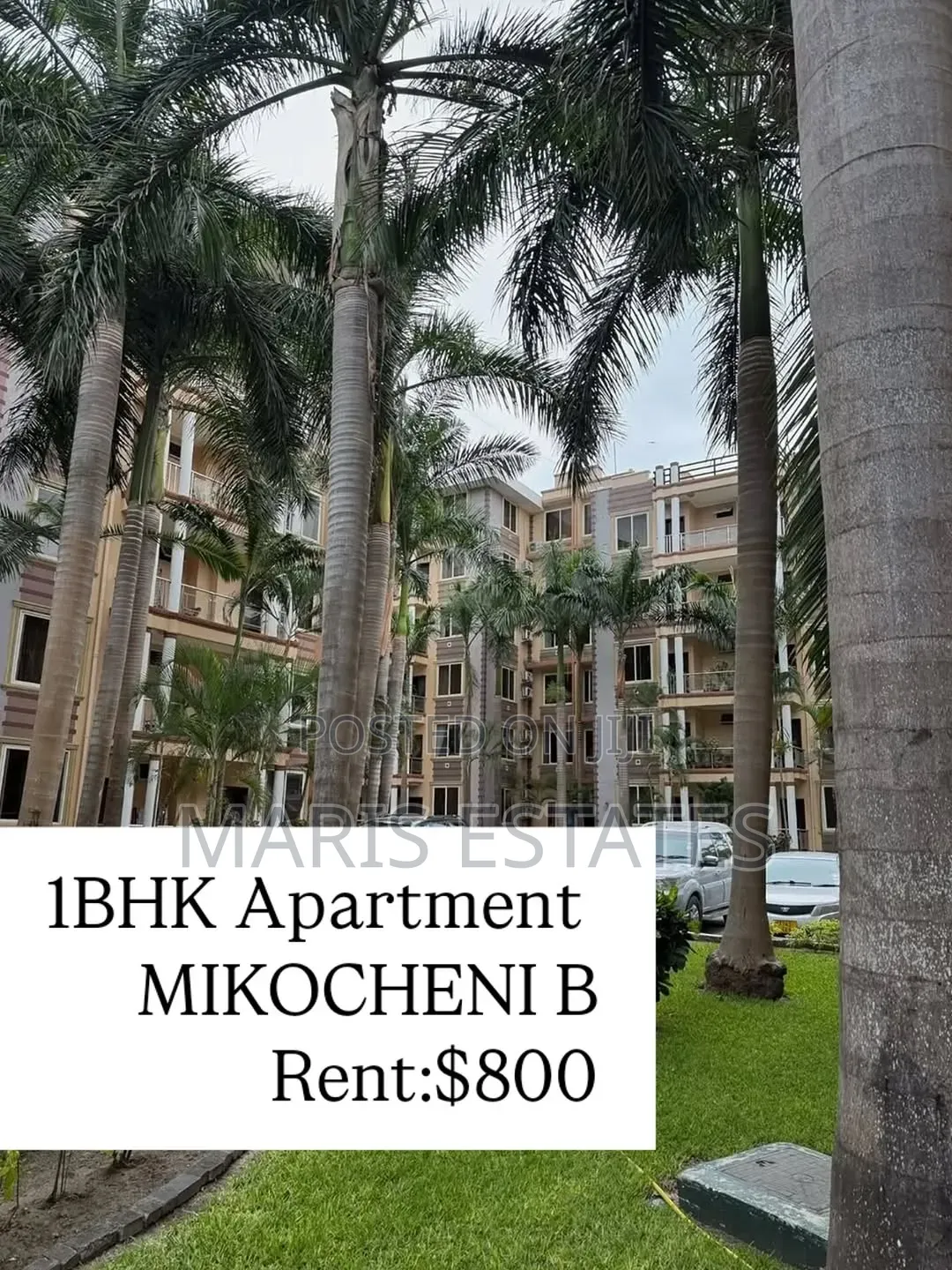 Furnished 1bdrm Apartment in Mikocheni for rent