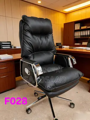 Ergonomic Chair