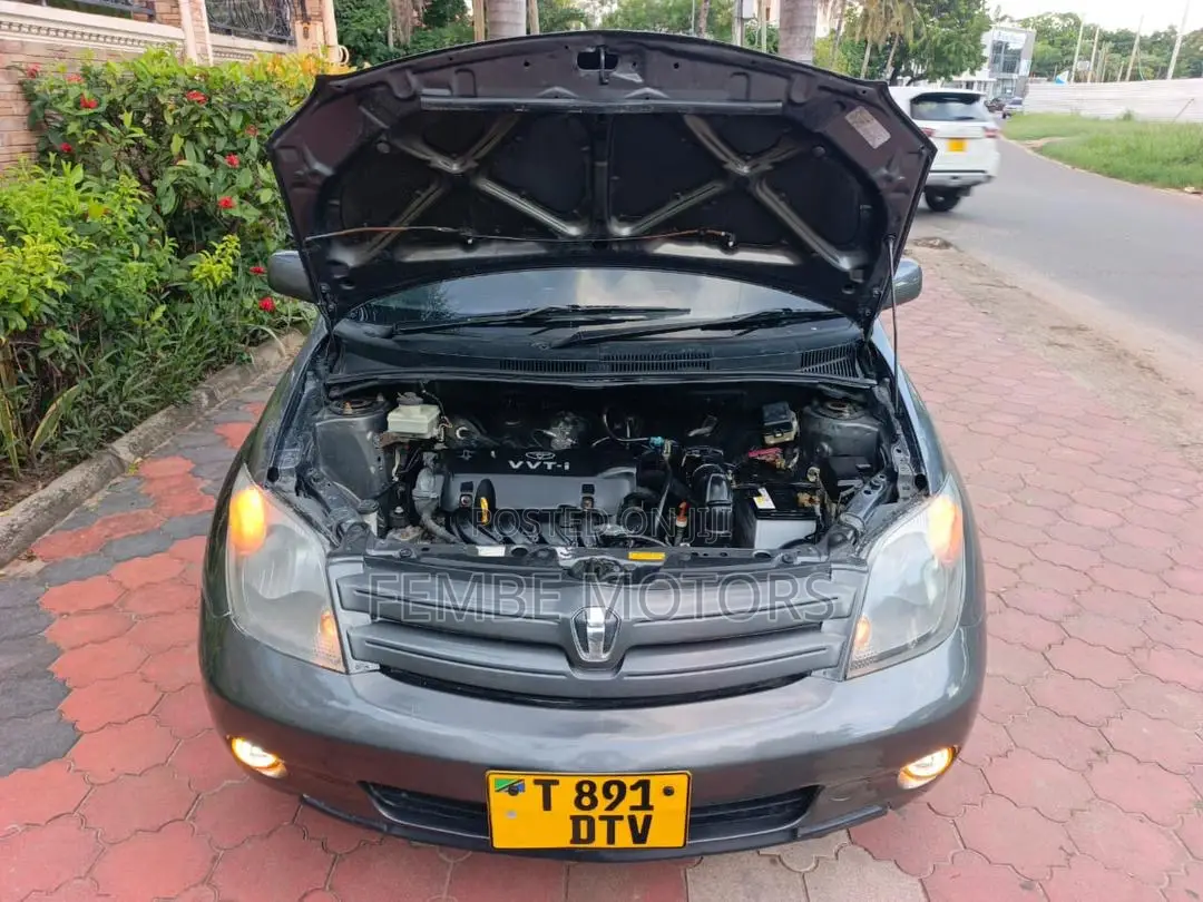 Toyota IST 2005 Gray