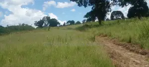 Eneo La Uwekezaji Linauza Kibaha Picha Ya Ndege