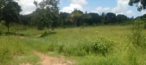 Eneo La Uwekezaji Linauza Kibaha Picha Ya Ndege