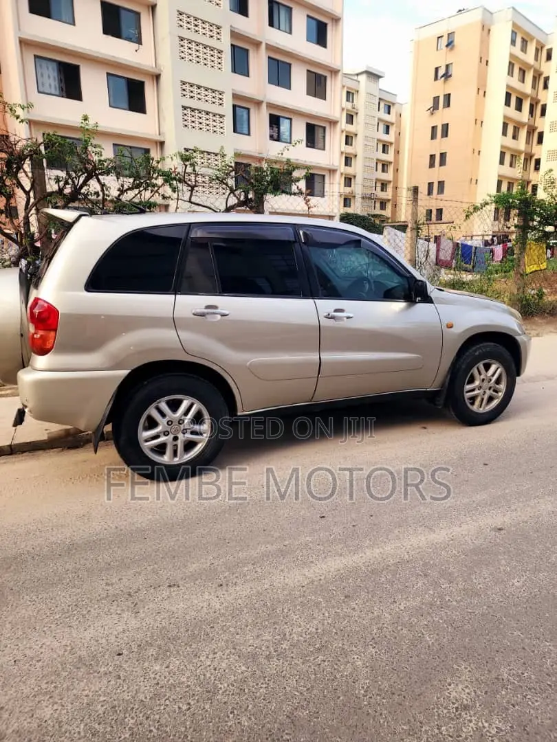 Toyota RAV4 2005 Gold