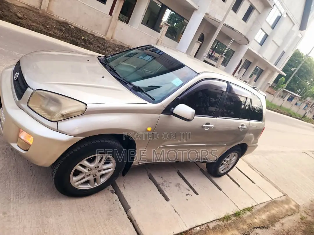 Toyota RAV4 2005 Gold