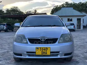 Toyota Allex 2005 Silver