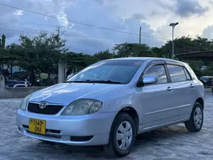 Toyota Allex 2005 Silver