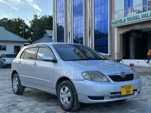 Toyota Allex 2005 Silver