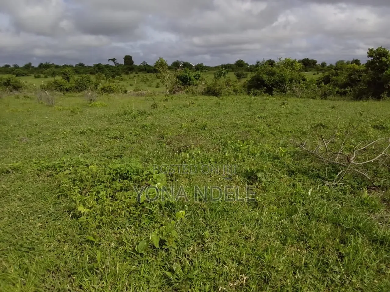 Shamba Linauzwa
