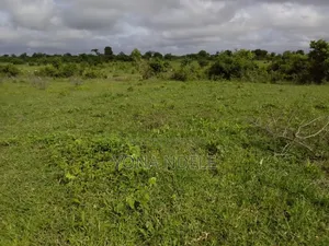 Shamba Linauzwa