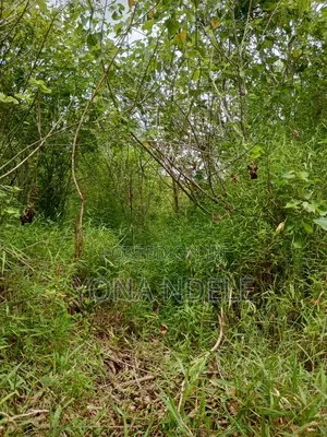 Shamba Linauzwa