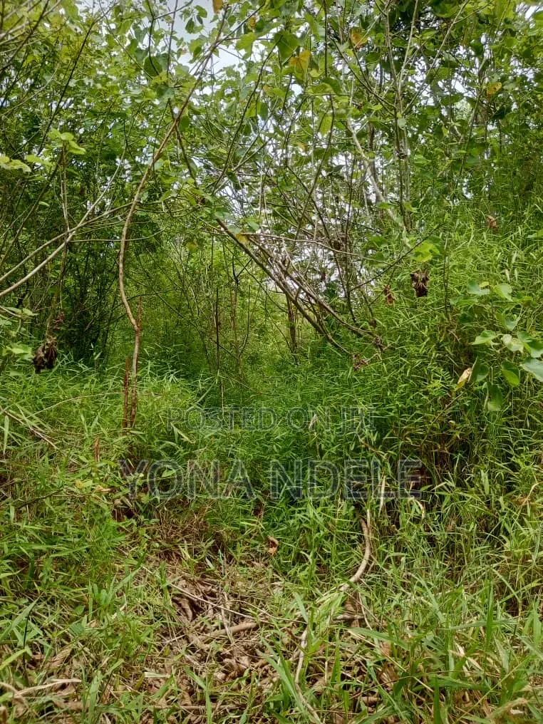 Shamba Linauzwa