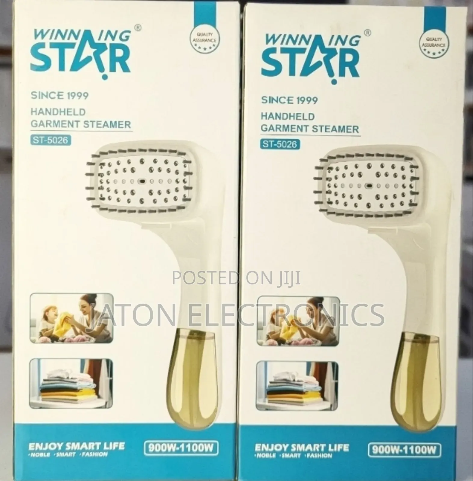 Winning Star Steamer Iron 1100w