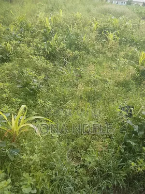 Shamba Linauzwa