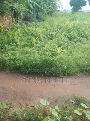 Shamba Linauzwa