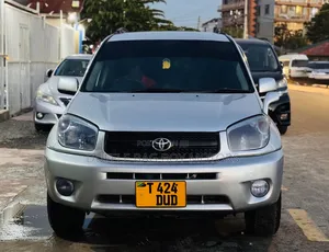 Toyota RAV4 2008 Silver