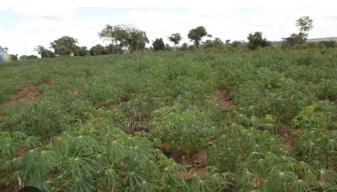 Shamba Linauzwa Songwe Centre Kisarawe