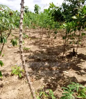 Shamba Linauzwa Songwe Centre Kisarawe