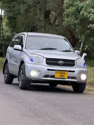 Toyota RAV4 2005 Silver