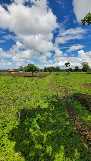 Viwanja Bora East Africa Arusha
