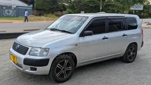 Toyota Succeed 2004 Silver