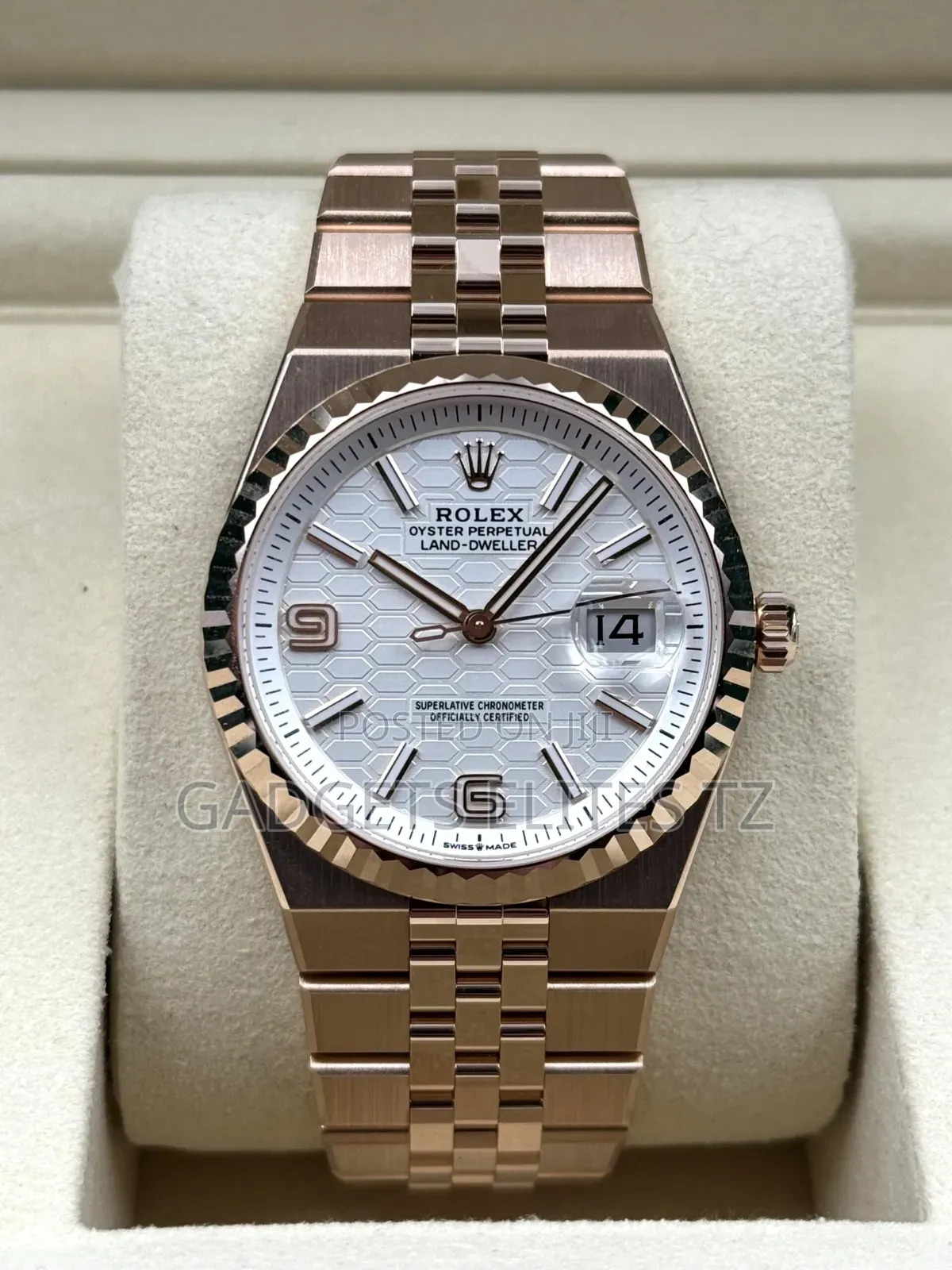 Rolex Land-Dweller 2025 (Rosegold)