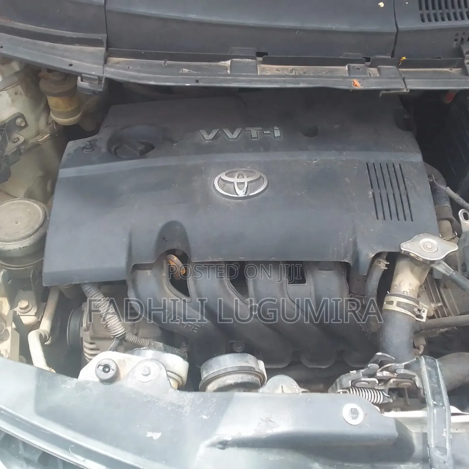 Toyota IST 2006 White