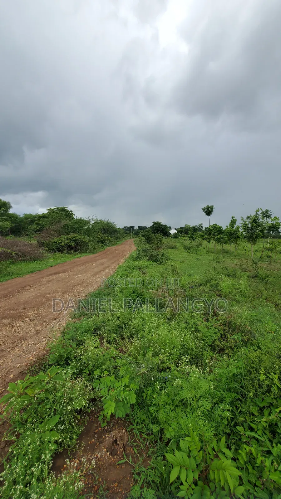 Viwanja Vya 2.5m East Africa Road Arusha Vimerudi