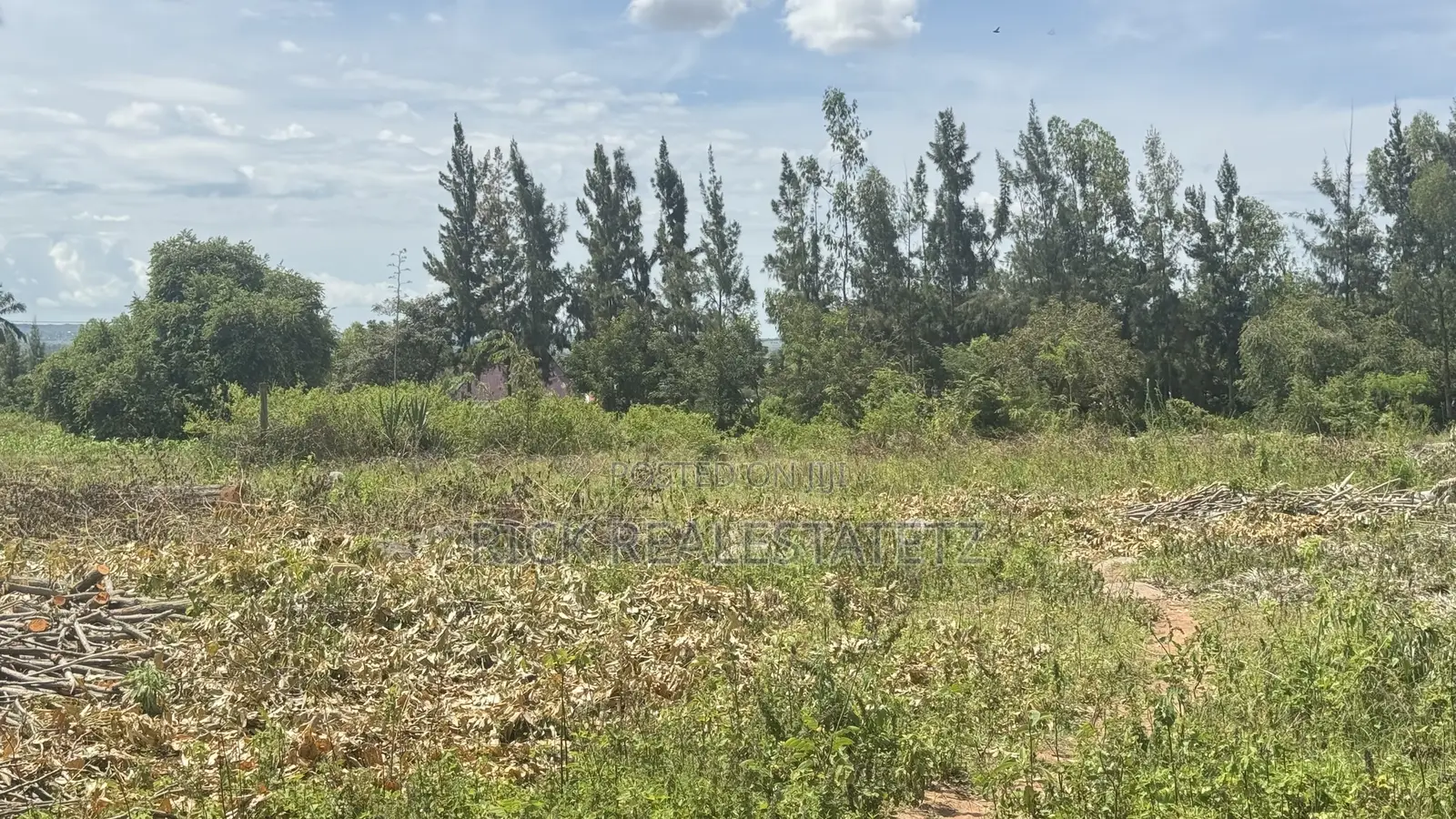 Jumla Ya Viwanja (27) Vinauzwa Mwanza - Kisesa