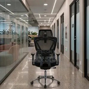 The Modern Ergonomic Chair With Lumbar Support