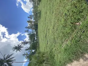 Plot for Sale Kidete Kigamboni