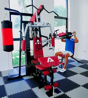 Three (3)Station Mult Gym