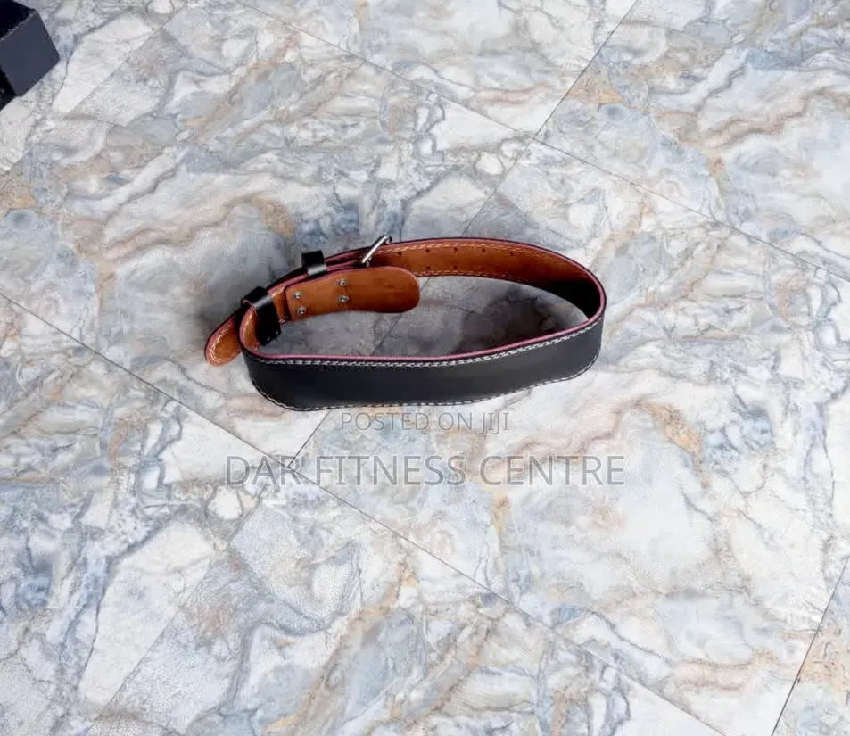 Weight Lifting Belt