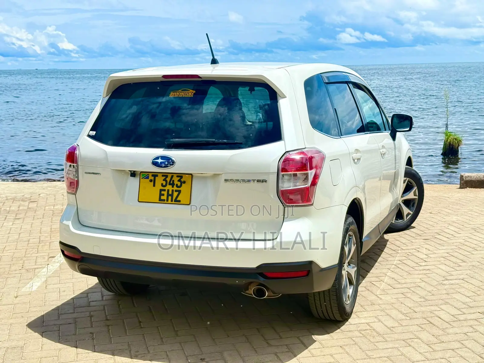 Subaru Forester 2014 Pearl
