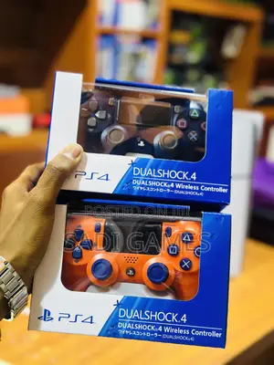 Ps4 Padi (Controller)