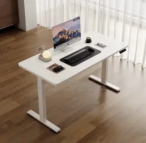 Adjustable Electric Standing Desk
