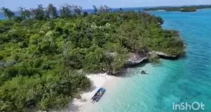 *48 Acres Beach Plot for Sale in Vikunguni Island, Pemba*