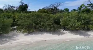 *48 Acres Beach Plot for Sale in Vikunguni Island, Pemba*