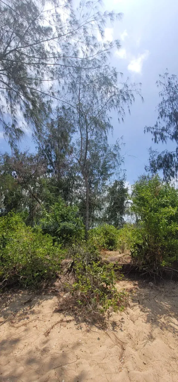Beach Plot for Sale in Fukuchani Zanzibar