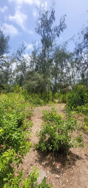 Beach Plot for Sale in Fukuchani Zanzibar