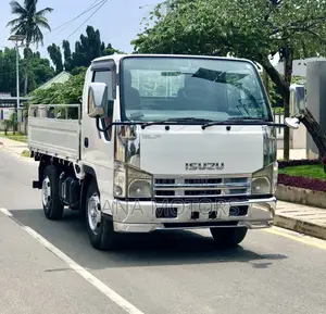 Isuzu Elf Truck