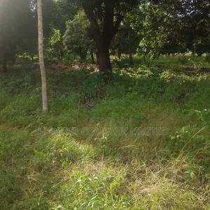 Eneo Linauzwa Kitemvu Kibaha