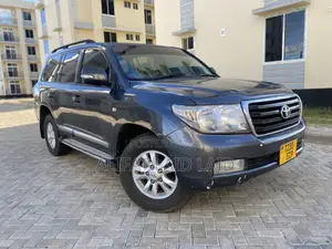 Toyota Land Cruiser 2010 Gray