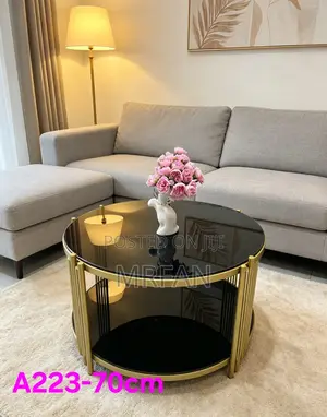 Coffee Table Decor A223