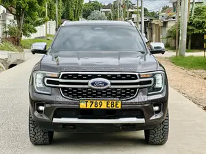 Ford Everest 2024 Gray
