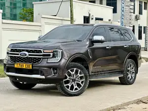 Ford Everest 2024 Gray