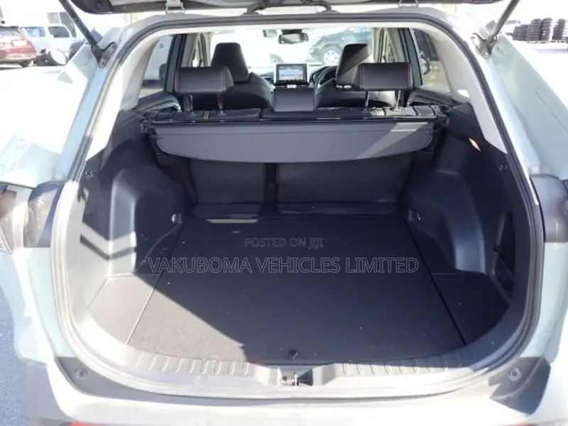 Toyota RAV4 2019 Green
