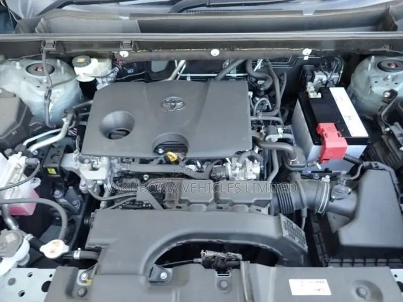 Toyota RAV4 2019 Green