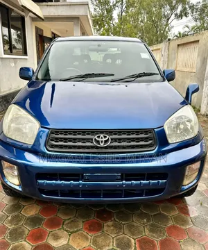 Toyota RAV4 2001 Blue