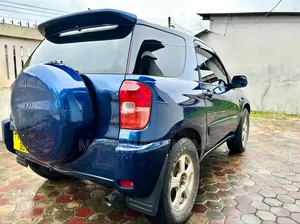 Toyota RAV4 2001 Blue