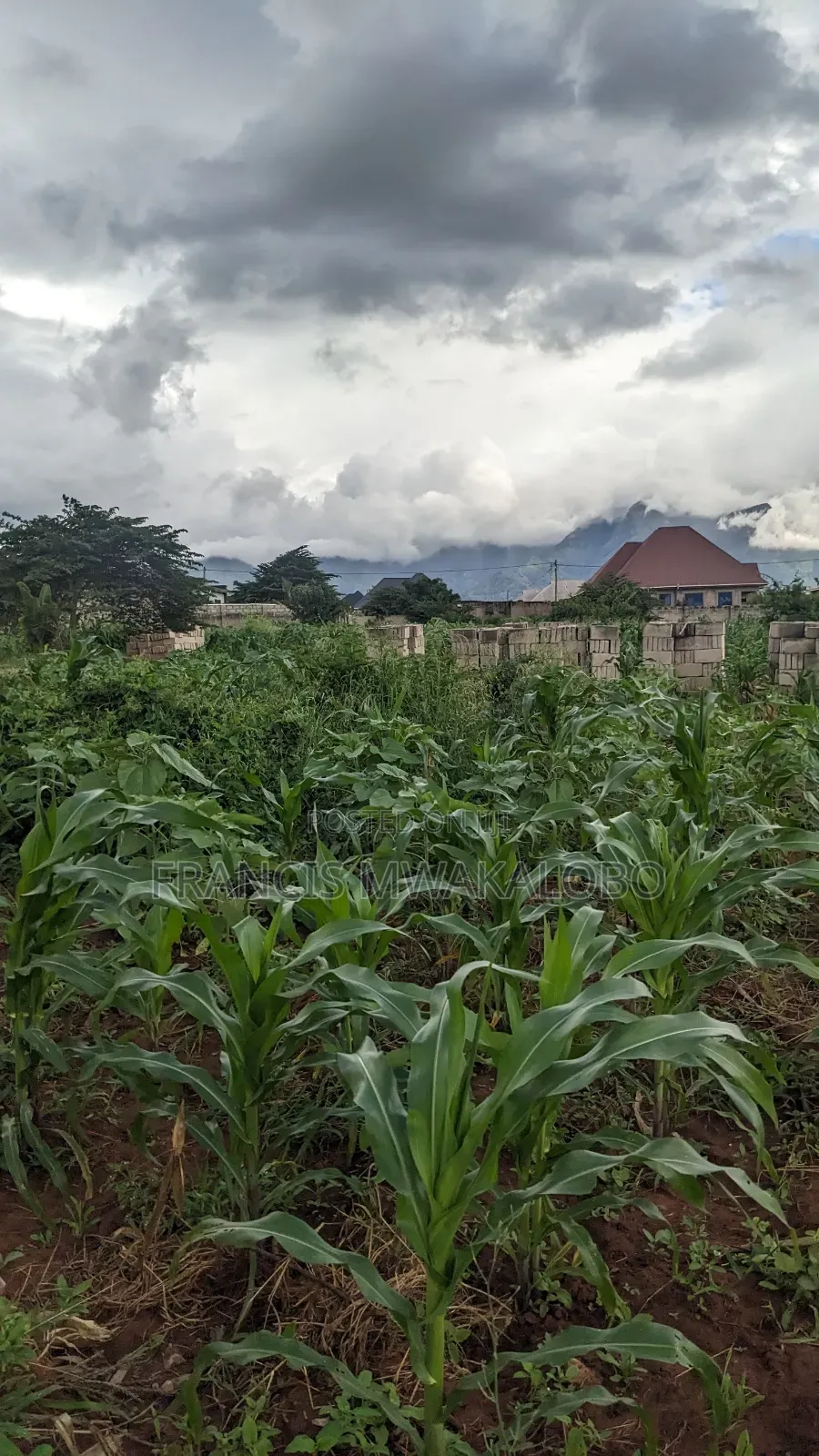 Kiwanja Kinauzwa Kitungwa Morogoro