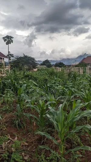 Kiwanja Kinauzwa Kitungwa Morogoro